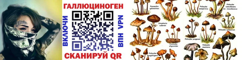 Галлюциногенные грибы GOLDEN TEACHER  Пикалёво 
